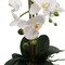 25-Inch Realistic White Orchid Arrangement – Artificial Phalaenopsis Flowers with Natural Leaf Details in Ceramic Pot for Home & Office Decor